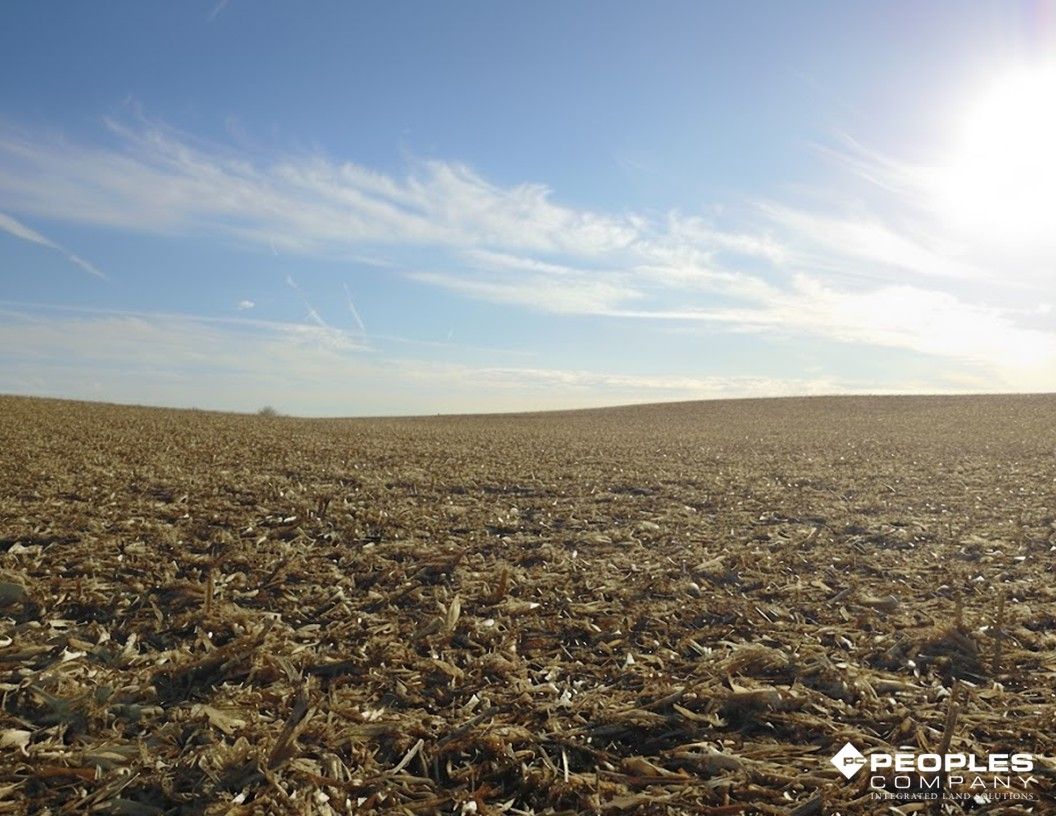 Listing Photo: Freeborn County Minnesota Farmland For Sale